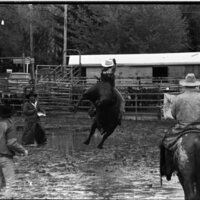 1991 Eastern Rodeo, Bull Riding 06