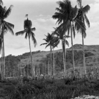 Dobodura Camp 1