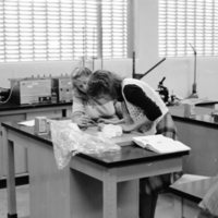 1984 Biology Lab, Dissection 01
