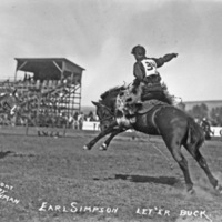 Rodeo, Bucking Bronco 6