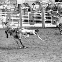 1978 Rodeo, Bronco Riding 14