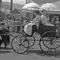 Union Stock Show Parade 7