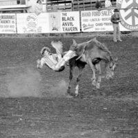 1978 Rodeo, Bronco Riding 02