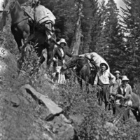 Reuter, Packhorses