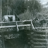 Minam, Toll Bridge