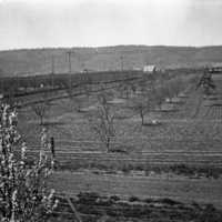 La Grande Farm, Huffman 7
