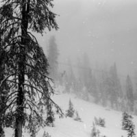 1981 Skiing Area 03