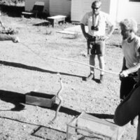 1973 Lily White Field Station 08