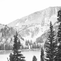Oregon, Lake 41
