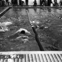 1985 Triathlon, Swimming 11