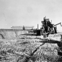 Elgin Farm, Carl Long 2