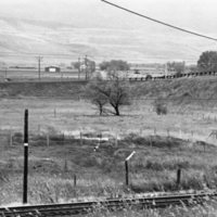 1979 Field Trip, Grande Ronde Commodities Plant 37