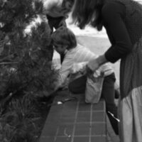 1983 Ackerman Elementary School, Bulb Planting 04