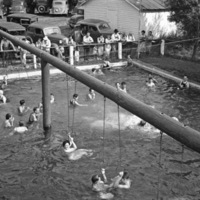 Cove Pool, Swimming 3