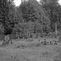 Dozens of soldiers lined up in a wooded clearing.  Some soldiers are sitting in the foreground.