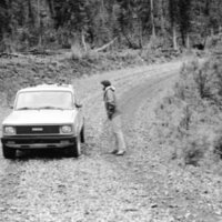 1987 Field Trip, Forest 19