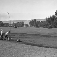 Island City, Golf Course Work 1