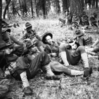 About a dozen soldiers sitting on the ground in a heavily wooded area.  Most of them are sitting up against trees and in full military gear.