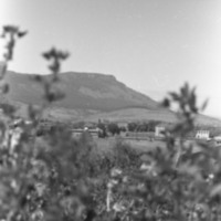 1976 Campus 04