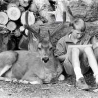 80's Children, Boy and Deer