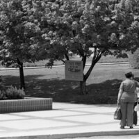 1974 Campus, Save a Tree 05