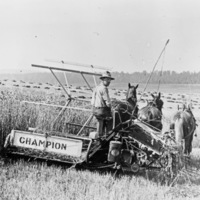 Farm, Haying Operation 3