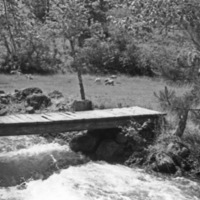 Cove, Park and Stream 1