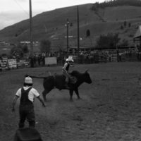 1981 Rodeo, Bull Riding 10