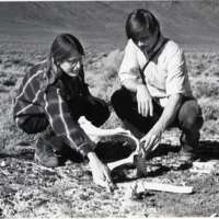 1977 Field Trip, Desert 4