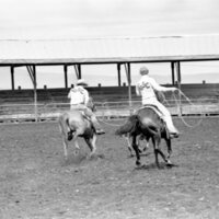 1978 Rodeo, Roping Pairs 05