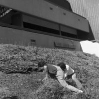 1984 Employees, Groundskeepers 07