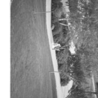 1988 Students, Walking 2