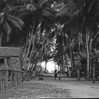Barrio on Nearby Island 1