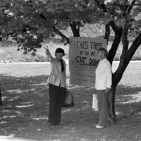1974 Campus, Save a Tree 02