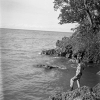 Looking Out to Sea 2
