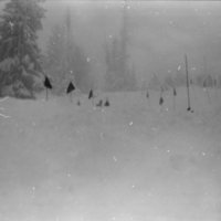 1981 Skiing Area 02
