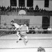 1949-50 Boxing 4-1