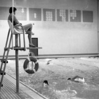 1978 Quinn Swimming Pool