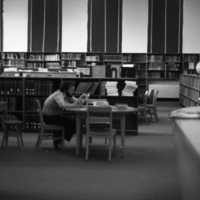 1981 Pierce Library Usage 01
