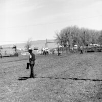 1970 Rodeo, Calf Roping 04