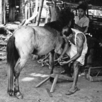 Dagupan, Horse Shoeing