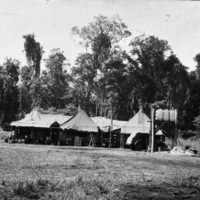 Photo Section Complex