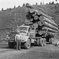 Logging Truck 2