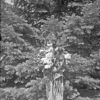 Oregon, Camouflage