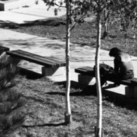 1978 Students, Outdoor Scenes 20