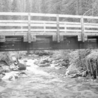 1985 Oregon, Bridges 05