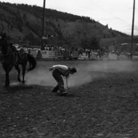 1981 Rodeo, Goat Roping 05