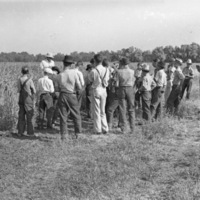 Union, 4H Agriculture