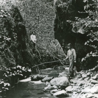 Eden, Fishing