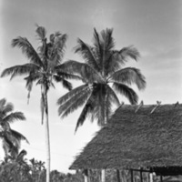 Leyte Camp, Mess Hall 4
